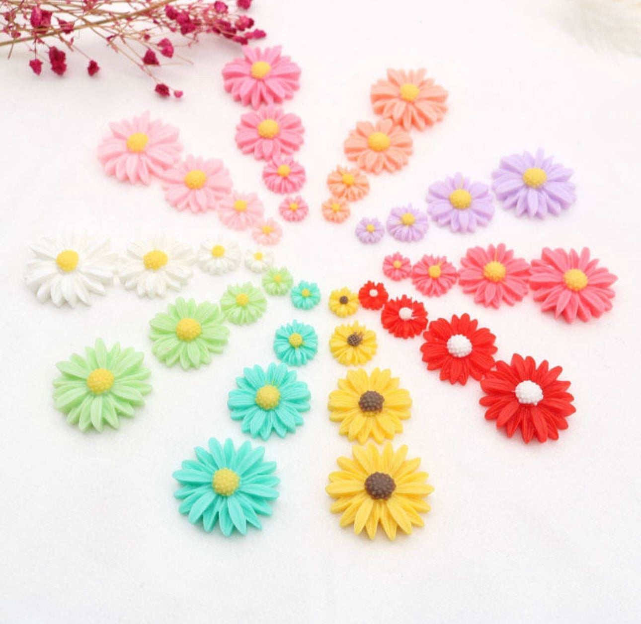 Colorful Sunflowers